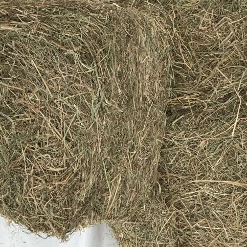 Fibre Select Ryegrass Hay