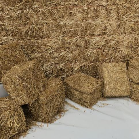 Bedding Hay or Straw