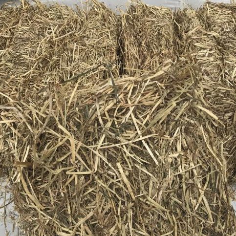 Fibre Select Soft and Sweet Hay